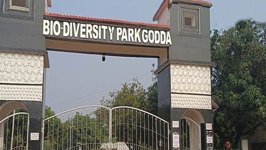 Digital Marketing, Software & IT Consulting in Godda Jharkhand